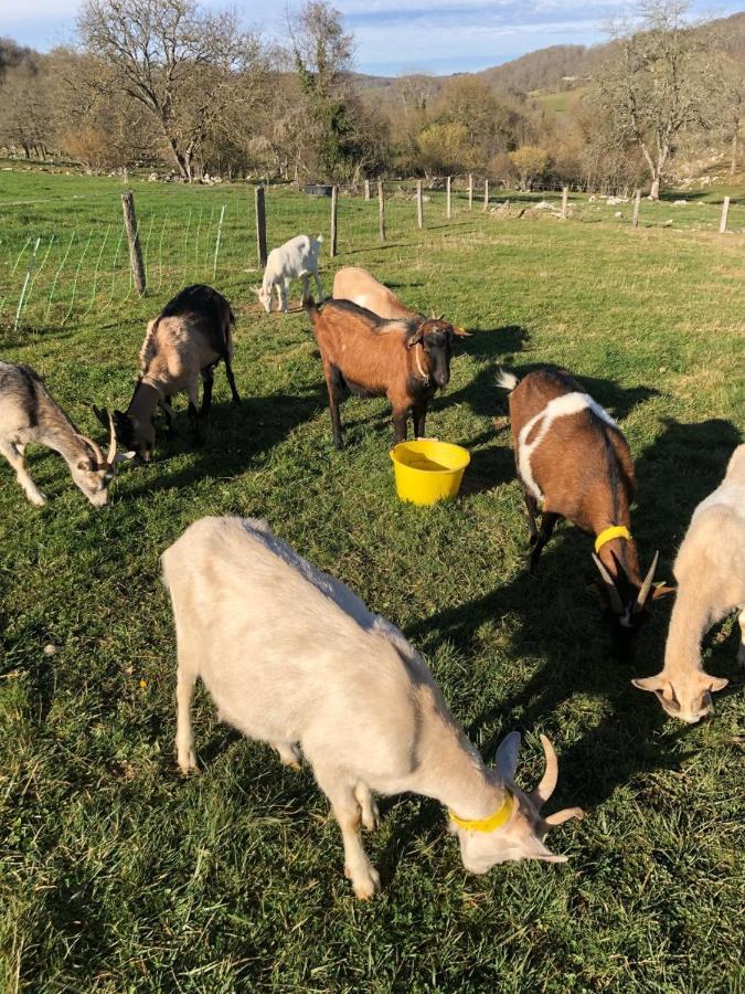 Gite A La Ferme Montesquieu-Avantes 외부 사진